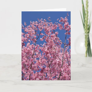 Cartão Sakura Flores de Cerejeira no Azul