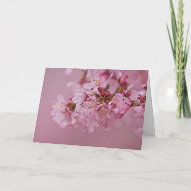 Cartão Sakura Flores de Cerejeira Rosa Pálido Reflexos (Frente)