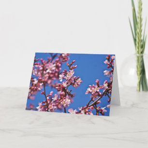 Cartão Sakura Flores de Cerejeira Tocando o Azul