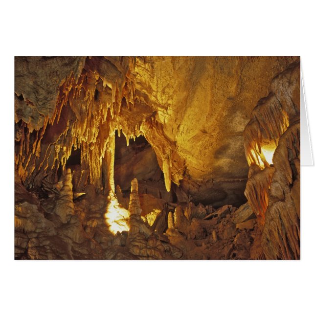 Cartão Sala de Cortinados, Parque Nacional da Caverna Mam (Frente Horizontal)