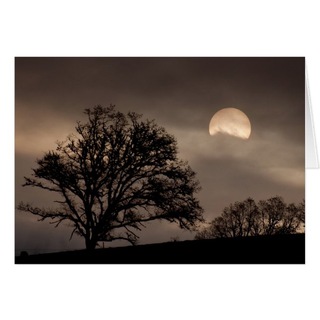 Cartão Salários do Vale do Umpqua (Frente horizontal)