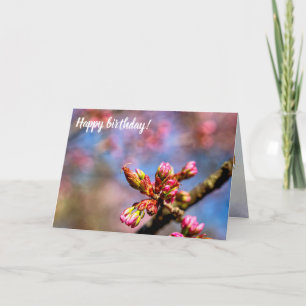 Cartão Salas de Árvores de Cereja Sakura. O Início Da Pri