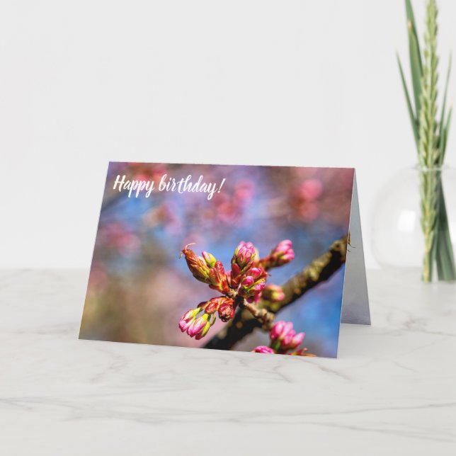 Cartão Salas de Árvores de Cereja Sakura. O Início Da Pri (Frente)