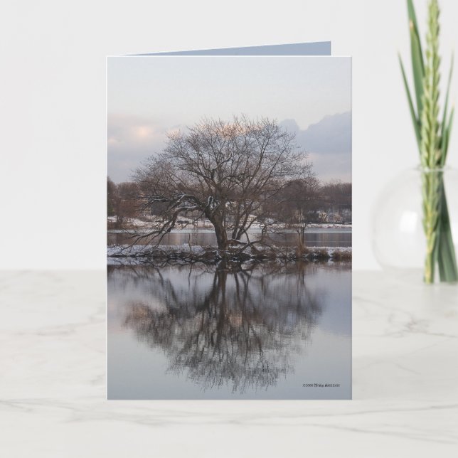 Cartão Salgueiro como a árvore do mundo (Frente)