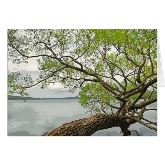 Cartão Salgueiro no lago (Frente Horizontal)