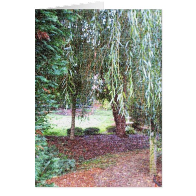 Cartão Salgueiro Weeping (Frente)