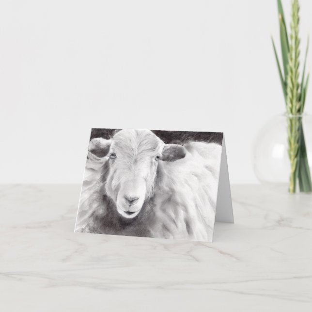 Cartão Sally the Sheep (a362) (Frente)