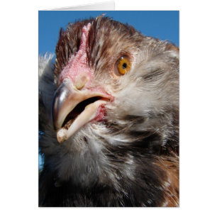 Cartão Salmão Faverolle