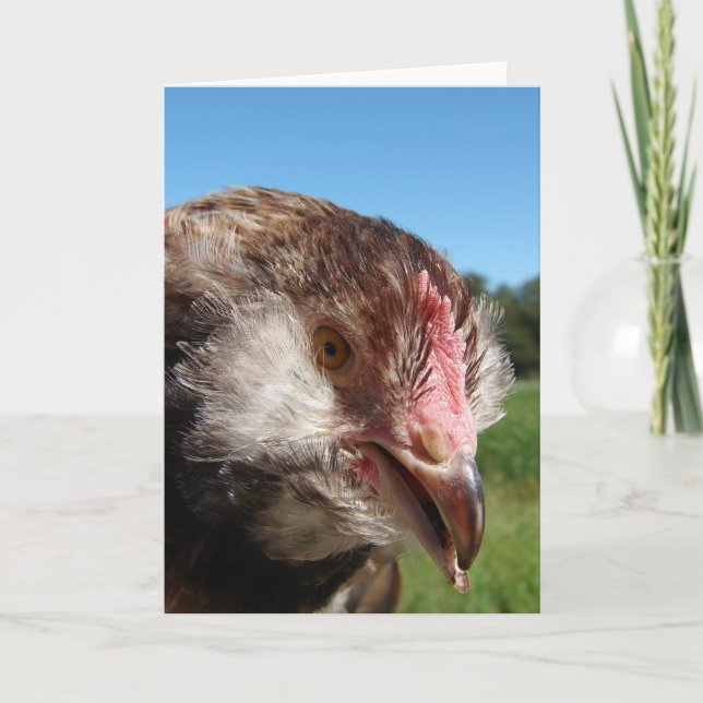 Cartão Salmão Faverolle (Frente)