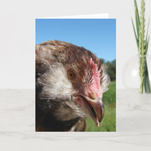 Cartão Salmão Faverolle