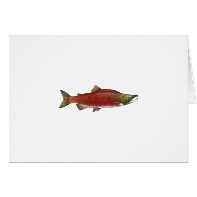 Cartão Salmões de Sockeye (Frente Horizontal)