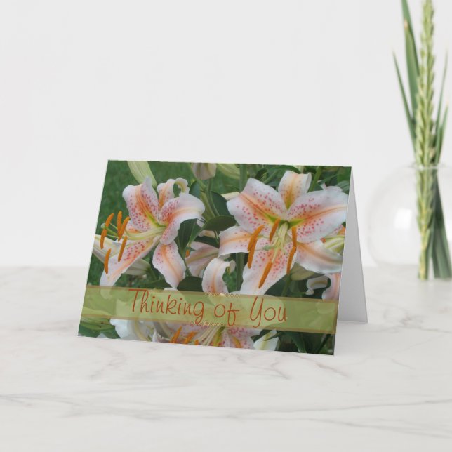 Cartão Salmon da estrela para alguma ocasião (Frente)