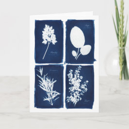 Cartão Salsa vazio prudente de Rosemary & de tomilho