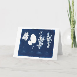 Cartão Salsa vazio prudente de Rosemary & de tomilho