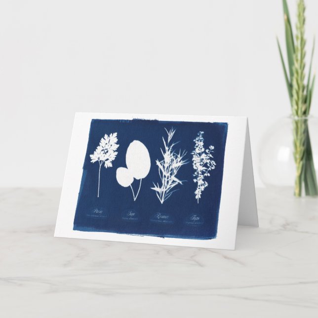 Cartão Salsa vazio prudente de Rosemary & de tomilho (Frente)