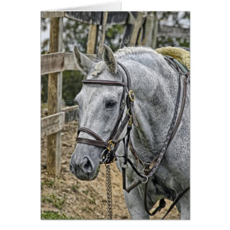 Cartão Salvamento do cavalo