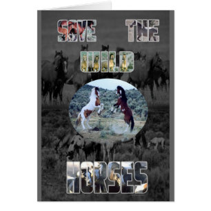 Cartão Salvar os cavalos selvagens