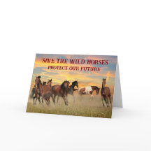 Salvar os cavalos selvagens