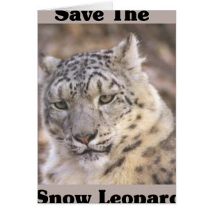 Cartão Salve o Leopardo da Neve