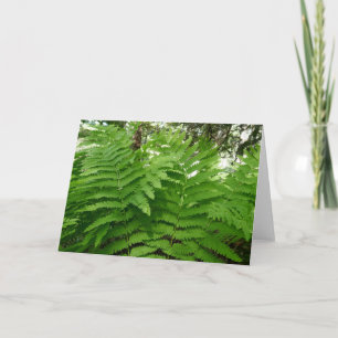 Cartão Samambaia Frondes IV Verde Botânico Natureza