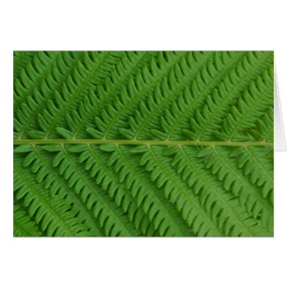 Cartão Samambaia verde