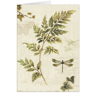 Cartão Samambaias decorativas e uma libélula