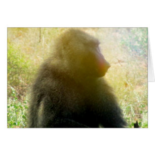 Cartão Samburu Baboon Closeup