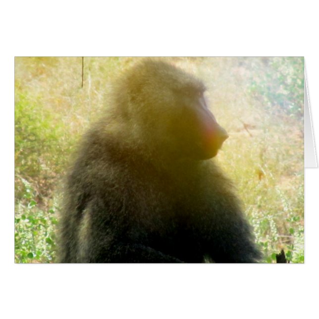 Cartão Samburu Baboon Closeup (Frente Horizontal)