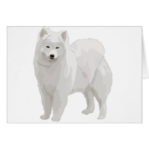 Cartão Samoyed bonito