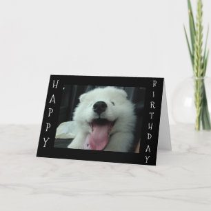 CARTÃO SAMOYED DIZ QUE ME SALVE DE BOLO/EU AMO VOCÊ QUERI