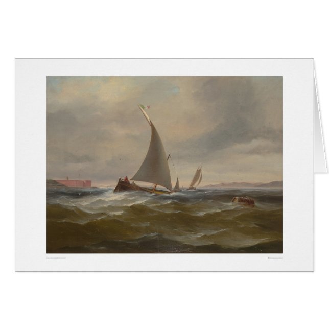 Cartão San Francisco Bay Felluca (1314) (Frente Horizontal)