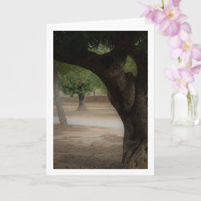 Cartão San Vicente Park Lliria, Valência (Orquídea)