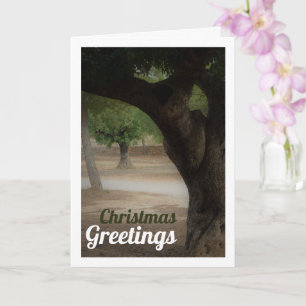 Cartão San Vicente Park Lliria, Valência