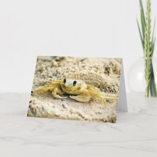 Cartão Sand Crab, Curacao, Caribbean islands, Greeting