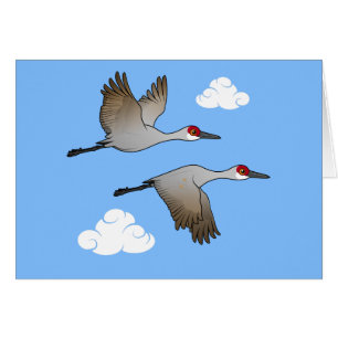 Cartão Sandhill Cranes em Voo