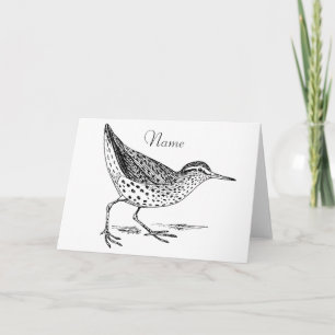 Cartão Sandpiper Shorebird Thunder_Cove