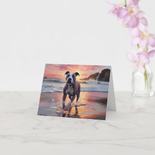 Cartão Sandy American Staffordshire Dog em Beach Sunset