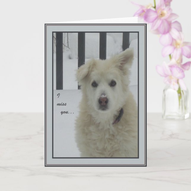 Cartão *Sandy Dog - Eu Sinto Sua Falta (Orquídea)