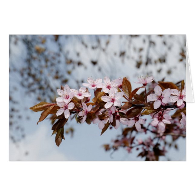 Cartão sangue (Frente Horizontal)