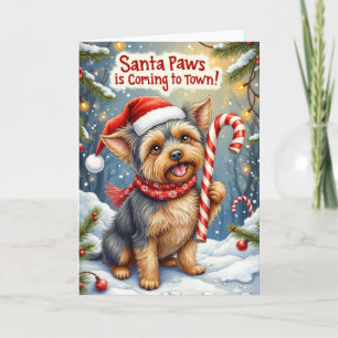 Cartão Santa Paws Affenpinscher Saudação de Natal