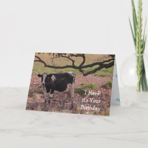 Cartão Santa Vaca, você está ficando velho, aniversário