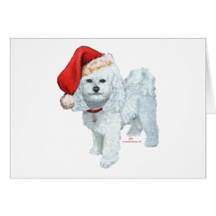 Cartão Santas Helper