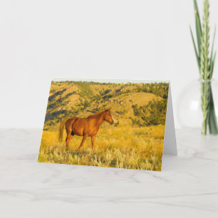 Cartão Santuário de Cavalo Selvagem.