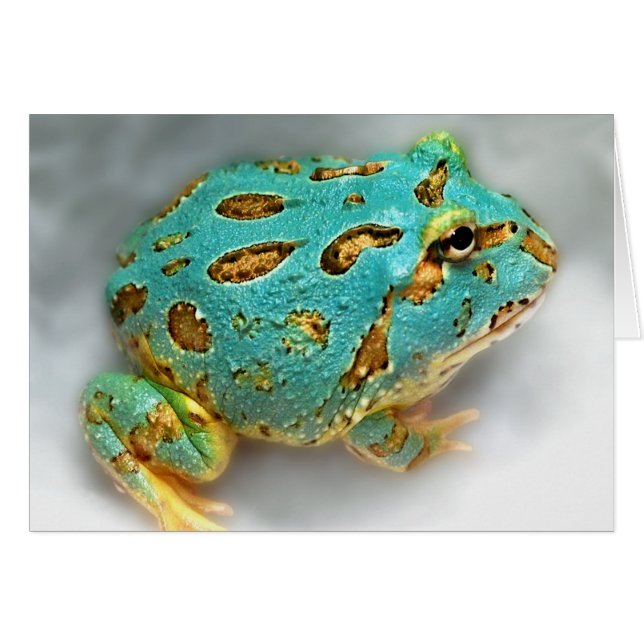 Cartão Sapo azul do Pac-Man - espera, esperando, Gotcha! (Frente Horizontal)