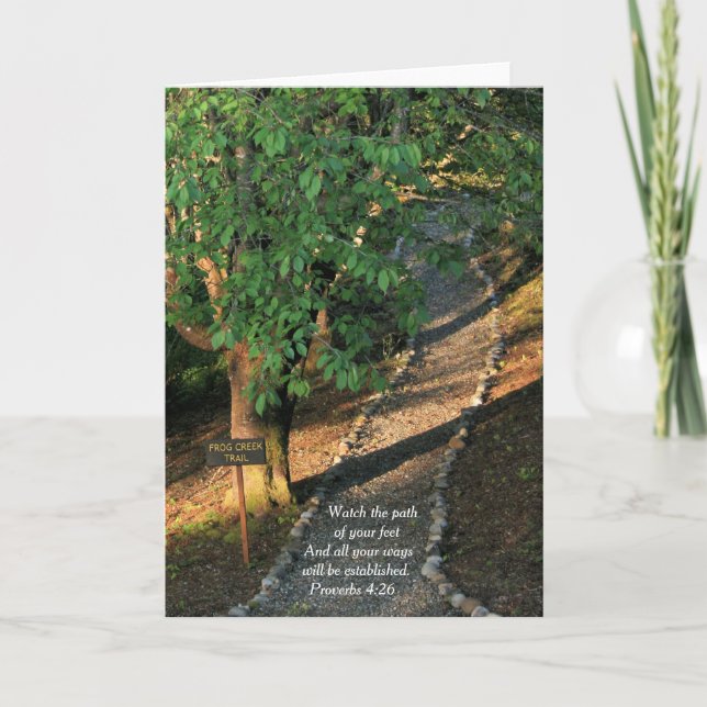 Cartão Sapo Creek Trace (Frente)