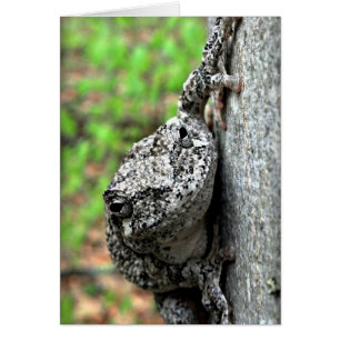 Cartão Sapo de árvore