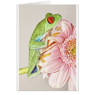 Cartão Sapo de árvore de Red Eye