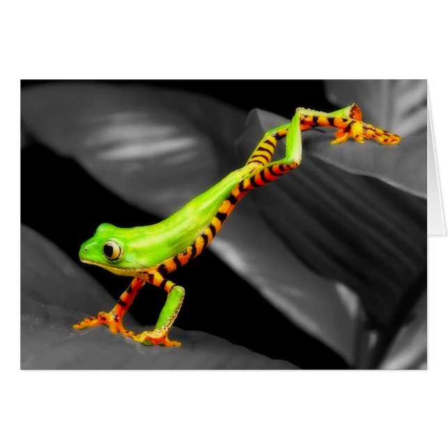 Cartão Sapo de Árvore de Salto (Frente Horizontal)