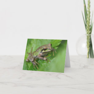 Cartão Sapo de Árvore do Pacífico - Placa de Arte Framáve