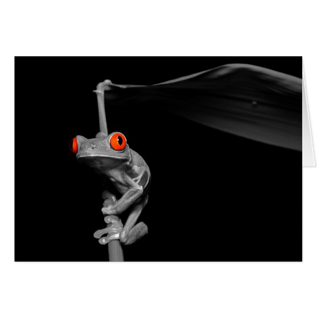 Cartão Sapo de Árvore Vermelha (Frente Horizontal)